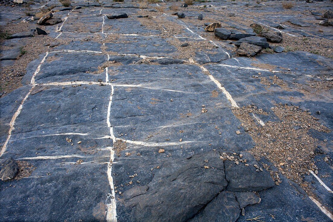 Chequerboard veins in limestone