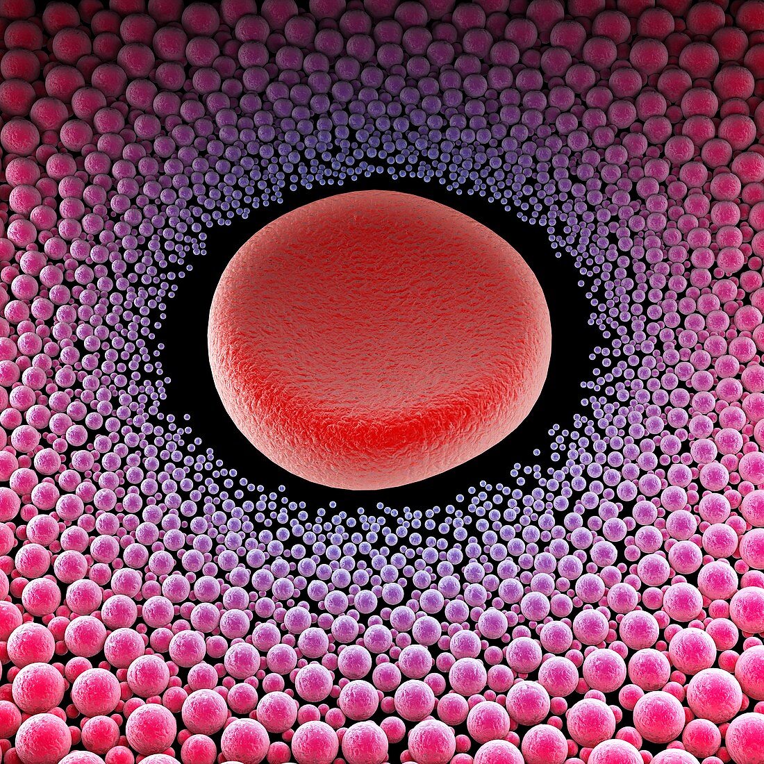 Nanoparticles and blood cell, illustration