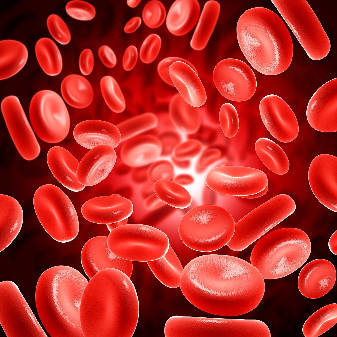 Red blood cells, illustration