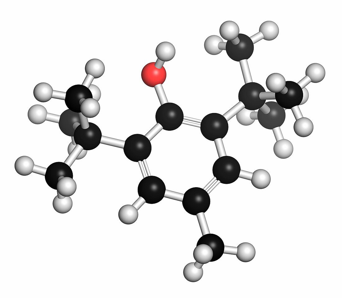 Butylated hydroxytoluene molecule