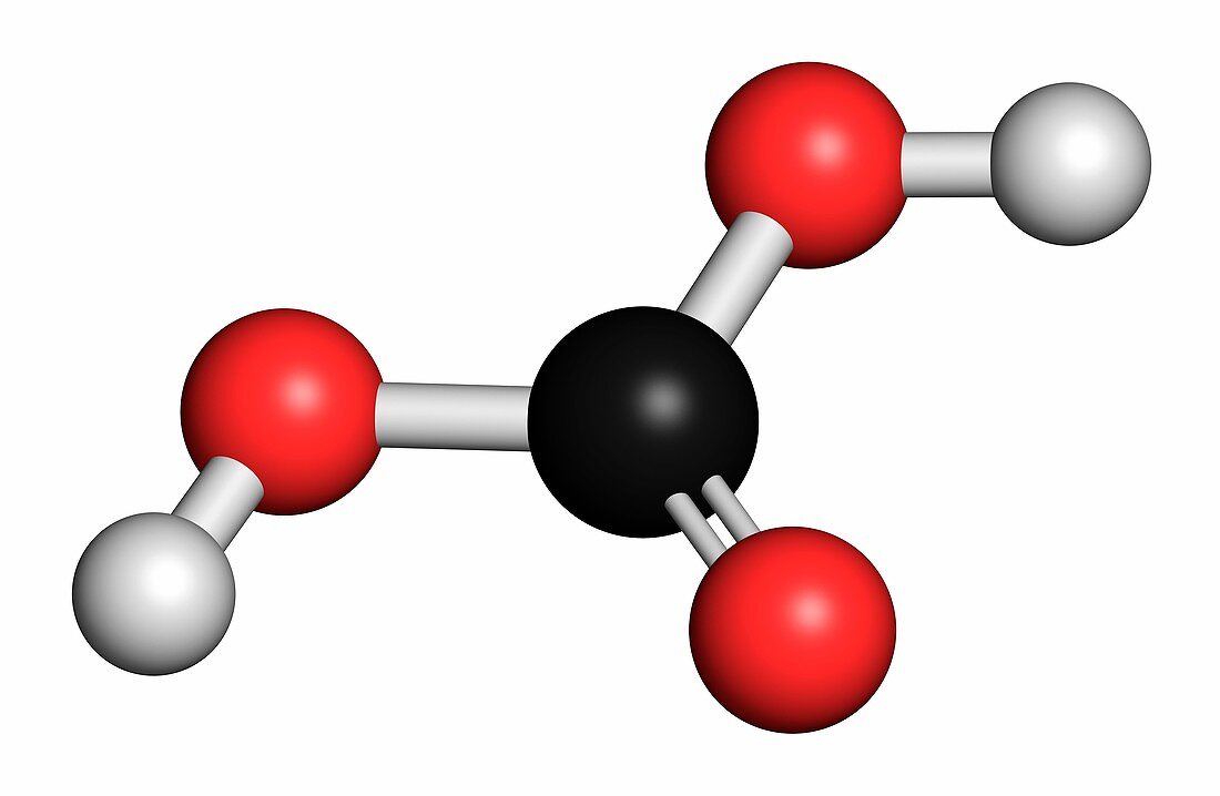 Carbonic acid molecule