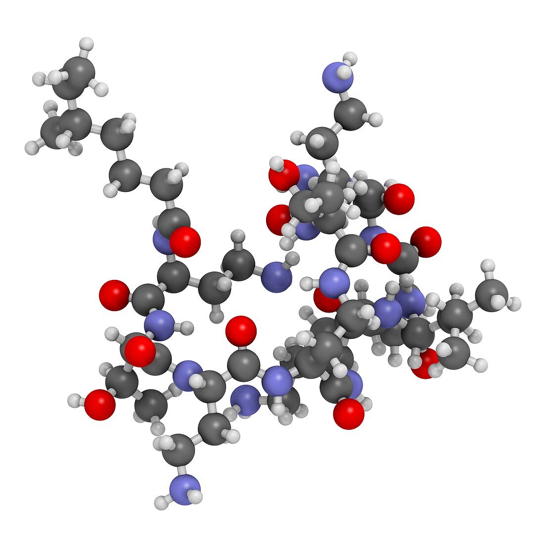 Colistin antibiotic drug molecule