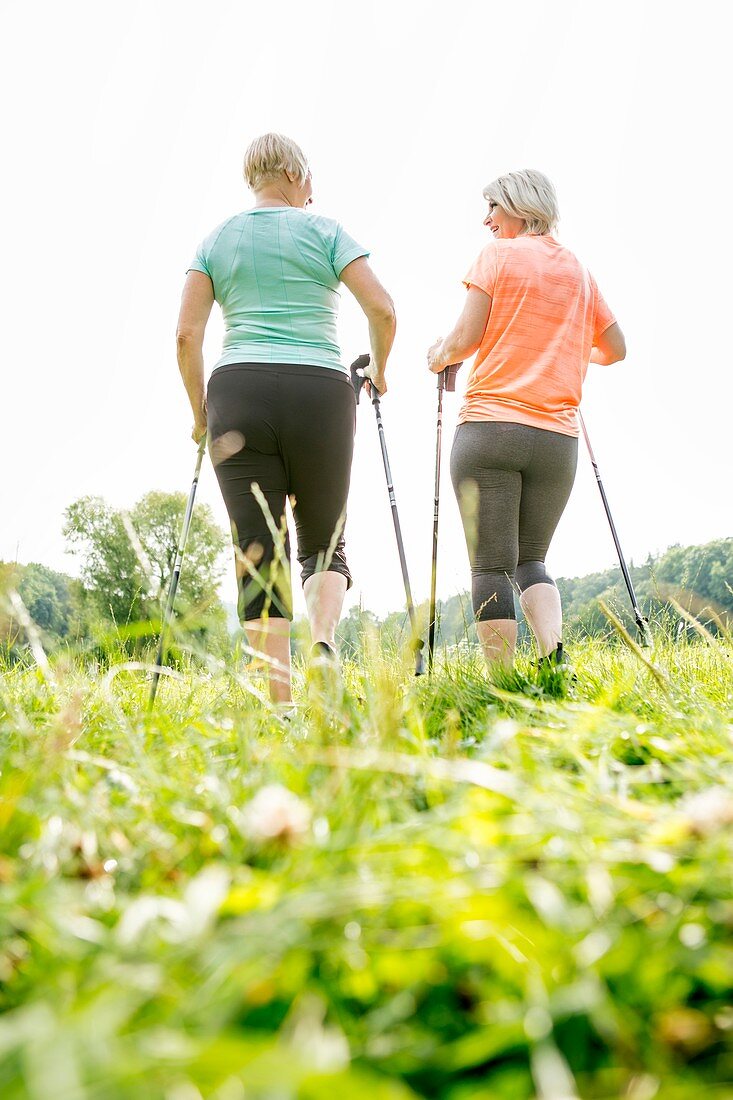 Two women walking in grass with walking poles, rear view