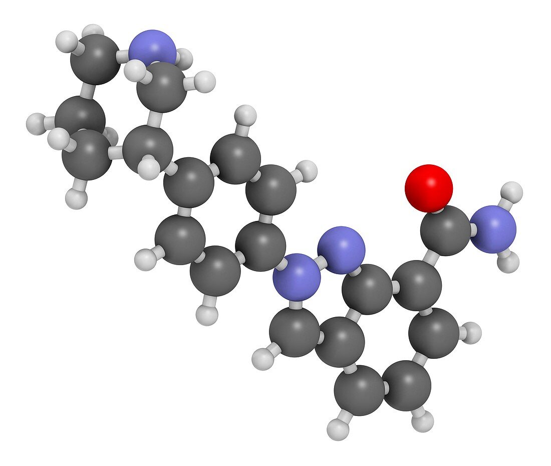Niraparib cancer drug molecule