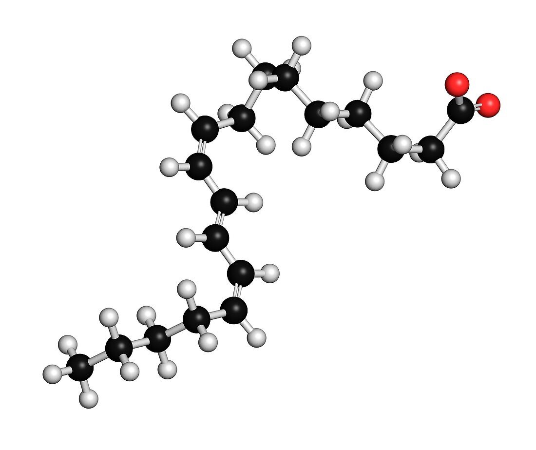 Punicic acid molecule
