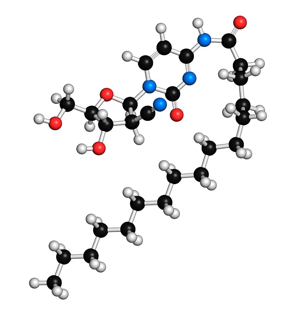 Sapacitabine cancer drug molecule