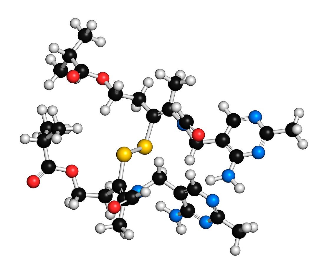 Sulbutiamine asthenia drug molecule