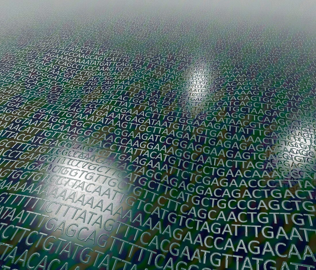 DNA