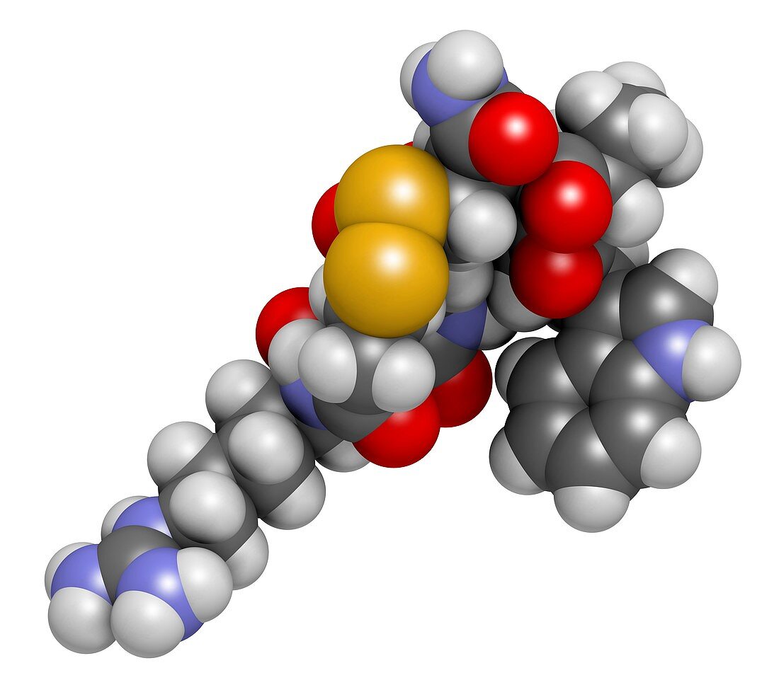 Eptifibatide anticoagulant drug molecule