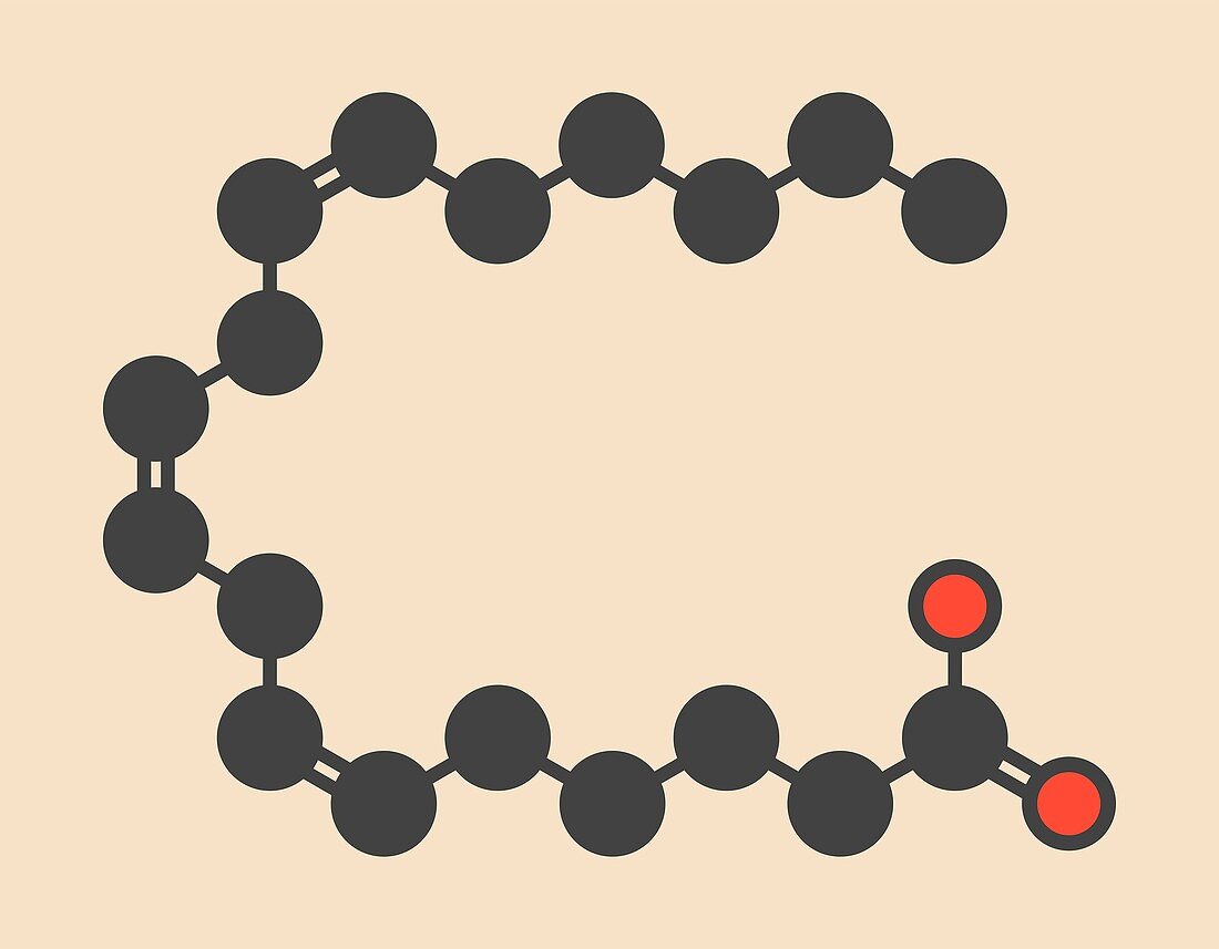 Gamma-linolenic acid molecule
