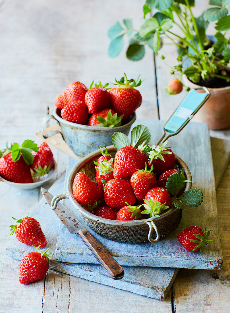 Fresh strawberries in a sieve and in bowls