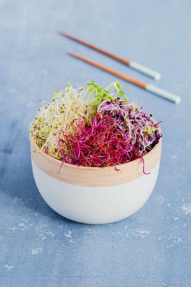 Sprout salad in a tall bowl