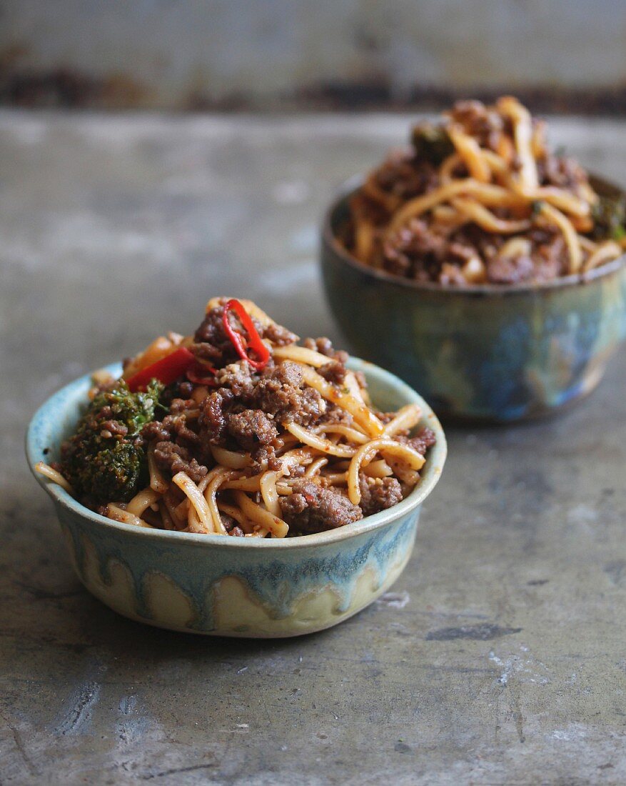 Szechuan Udon noodles with meat and vegetables (Japan)
