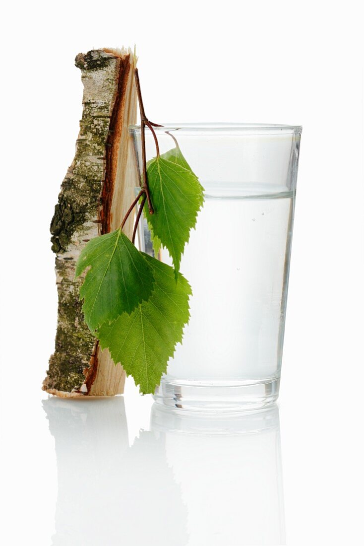 Birch water