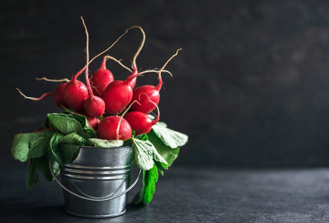 Radishes in a small metal bucket on dark background