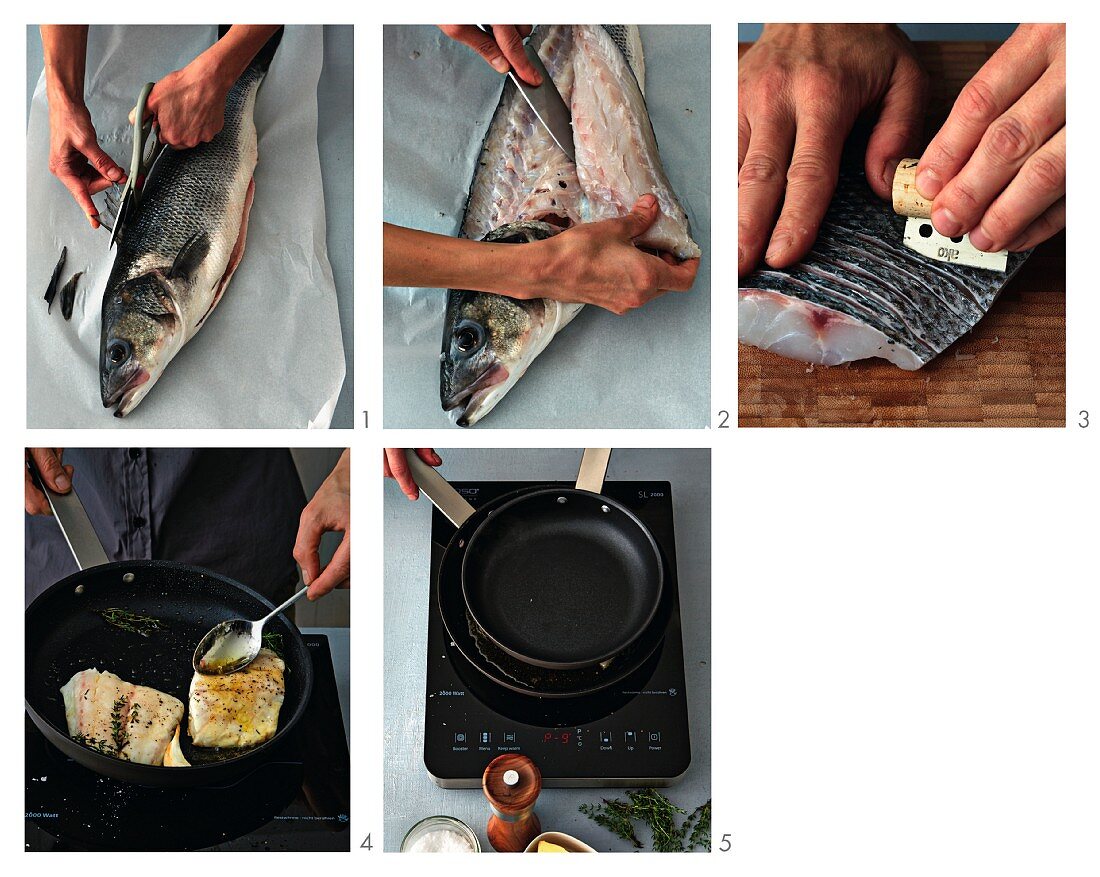 Preparation of seabass