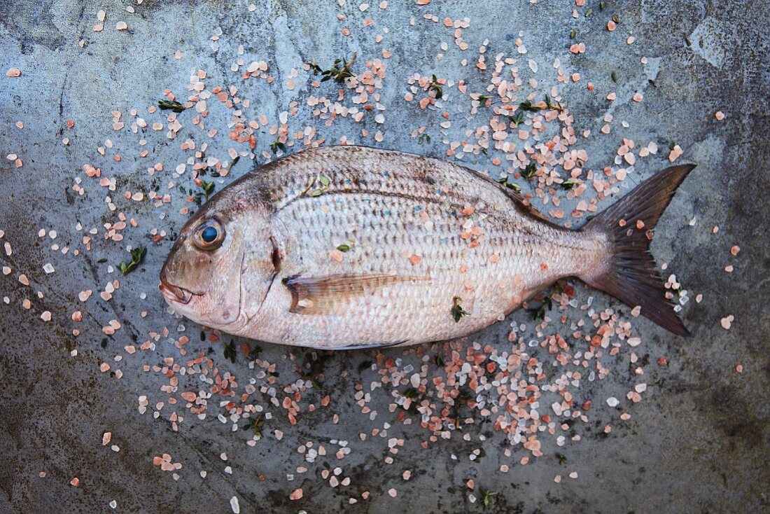 Fresh sea bream with salt