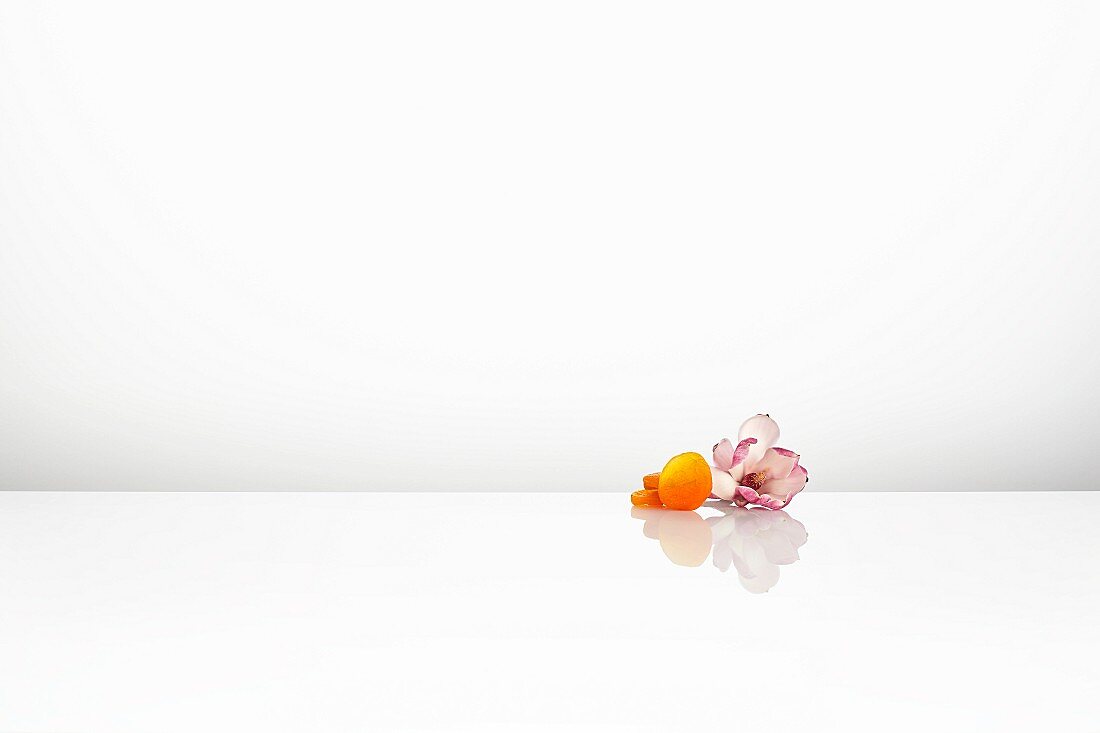 Magnolia blossom and dried apricots
