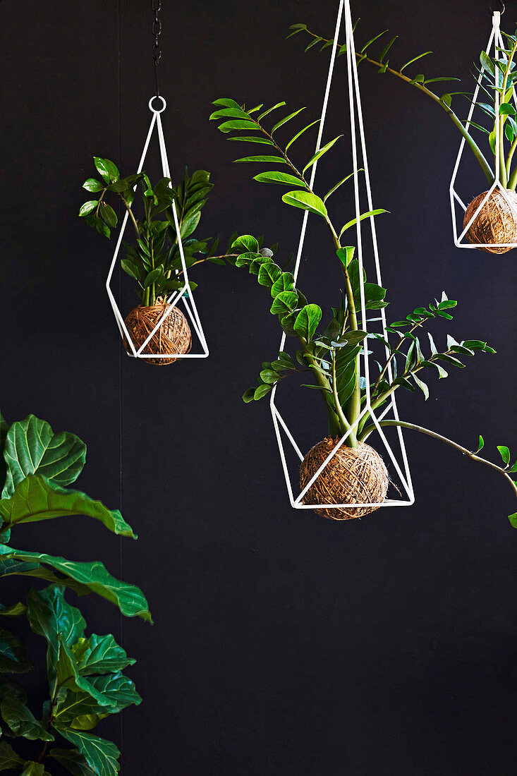 Geometric metal hanging baskets with lucky feathers
