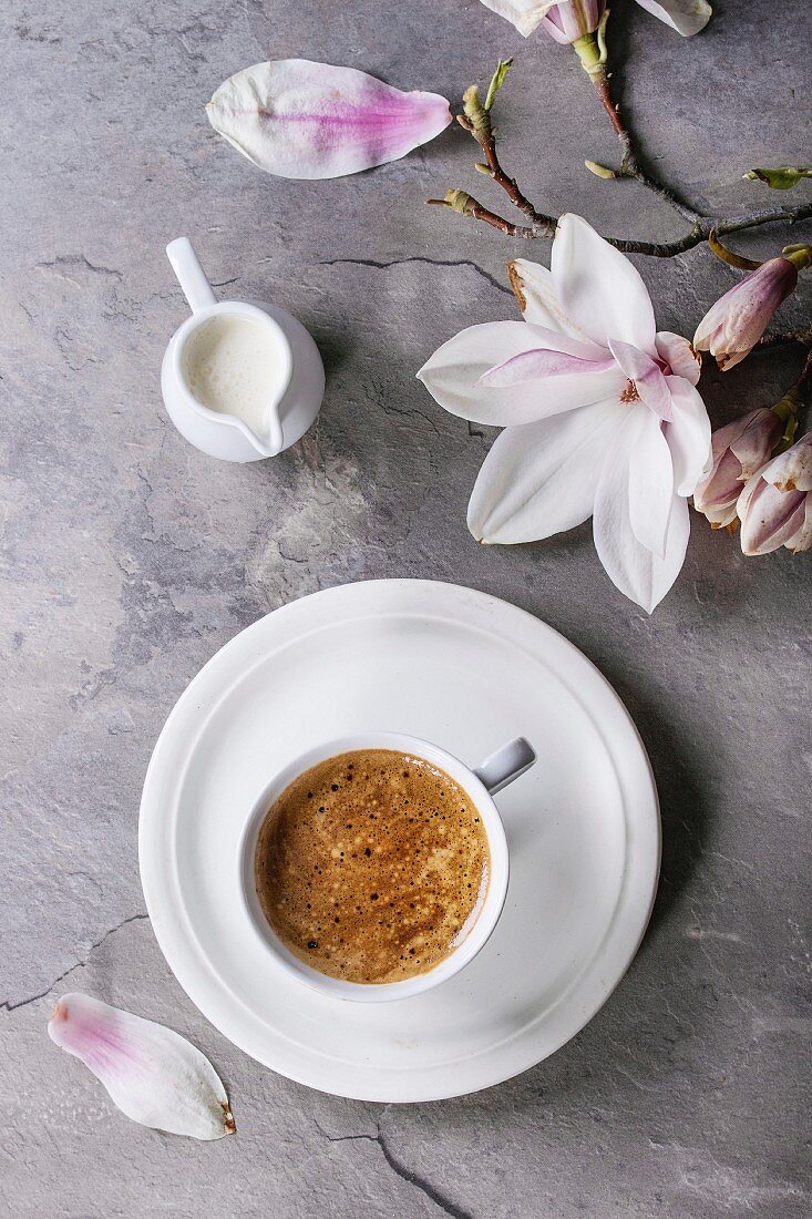 Tasse Kaffee serviert mit Sahnekännchen daneben Magnolienblüten (Aufsicht)