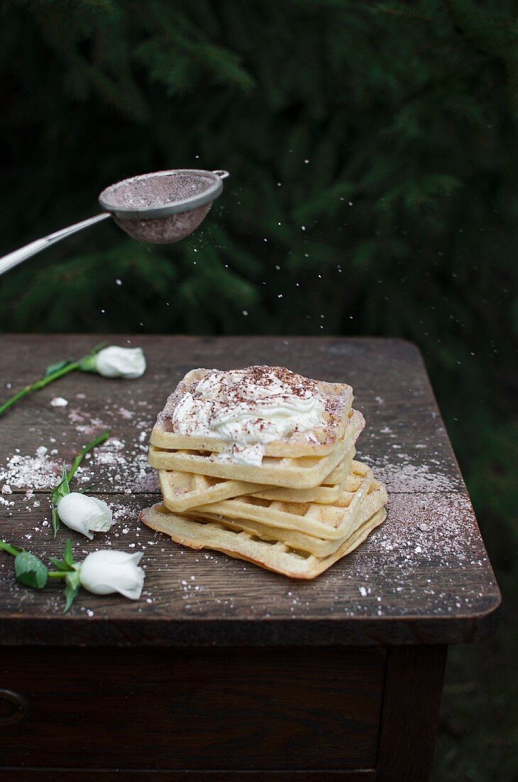 Waffles served with whipped cream, sprinkled icing sugar with cocoa powder
