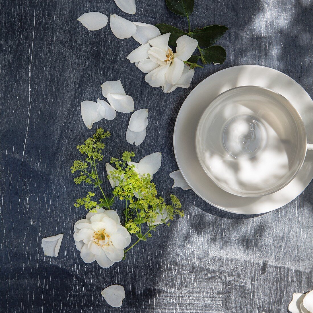 An empty white tea cup beside white rose petals (top view)