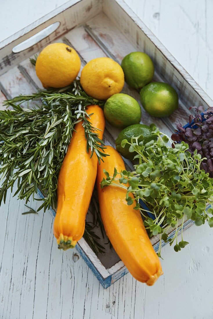 Rosmarin, Zitronen, Limetten, Zucchini und zweierlei Kresse in Holzkiste