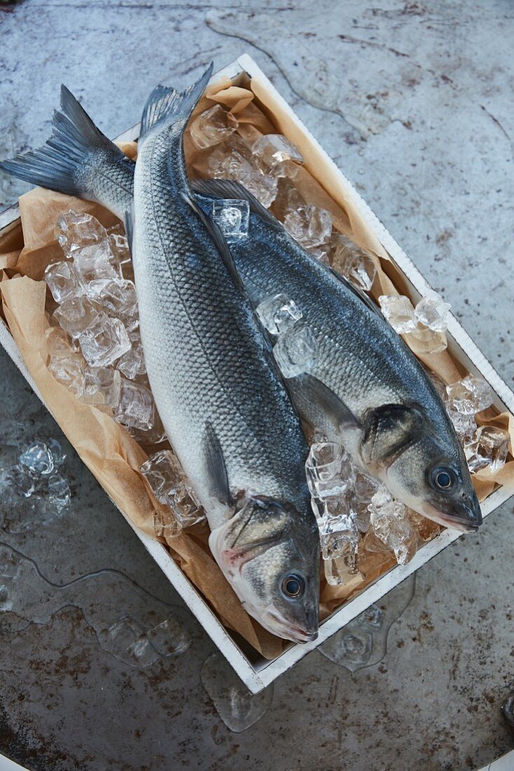 Zwei frische Fische in Holzkiste auf Eis (Aufsicht)