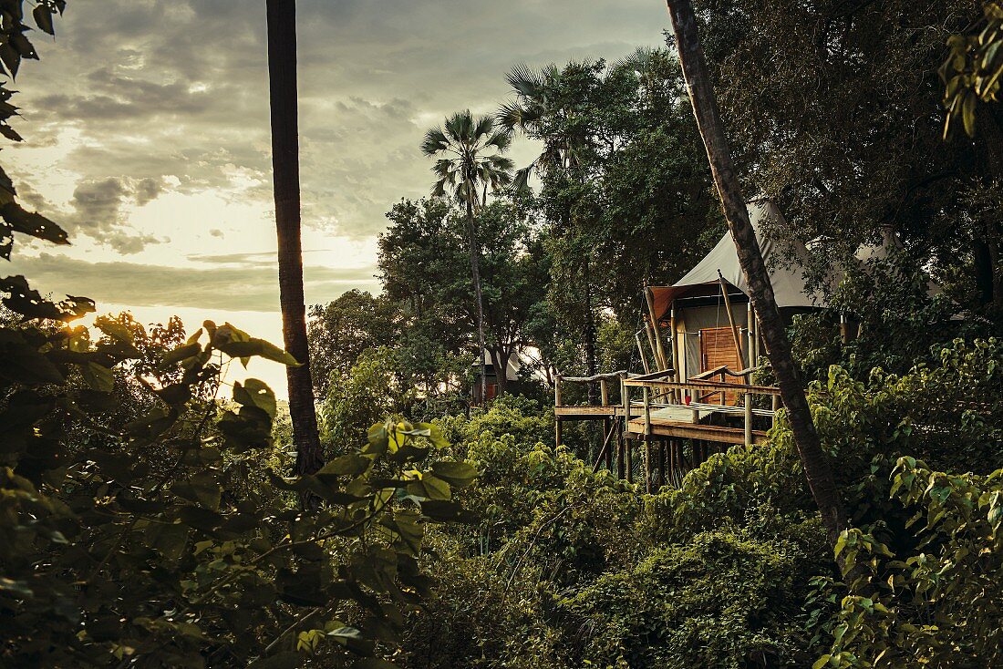 Baumhaus im Kwetsani Camp, Okavango-Delta, Botswana, Afrika