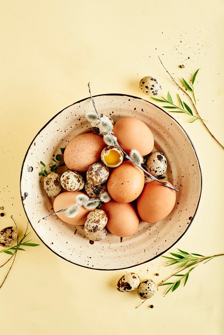 Still life of fresh spring eggs in a bowl