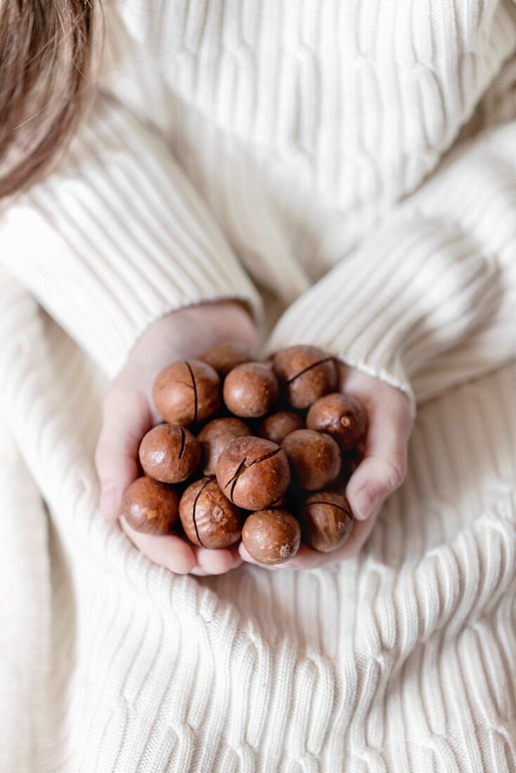 Macadamia nuts in hands