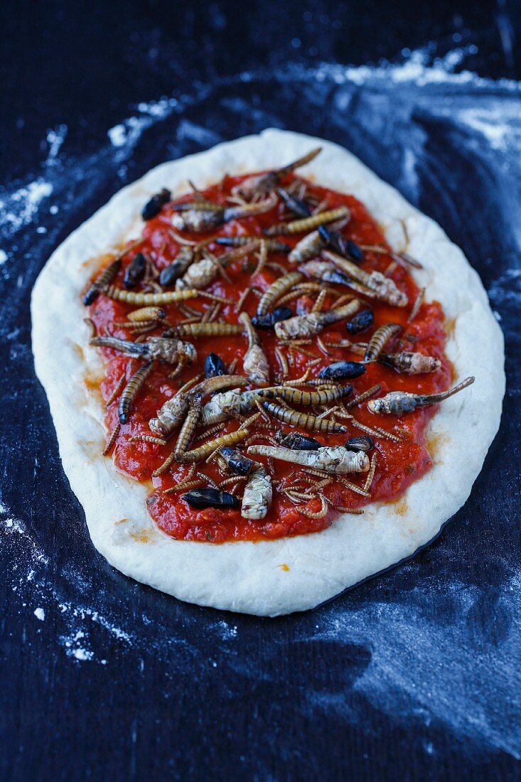 Pizza topped with Zophobas larvae mealworms, crickets, and grasshoppers