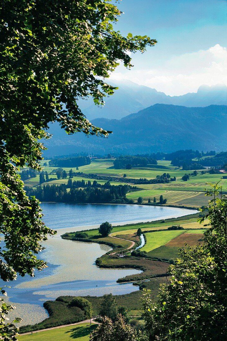 Landschaft bei Hopfen am See, Allgäu, Deutschland