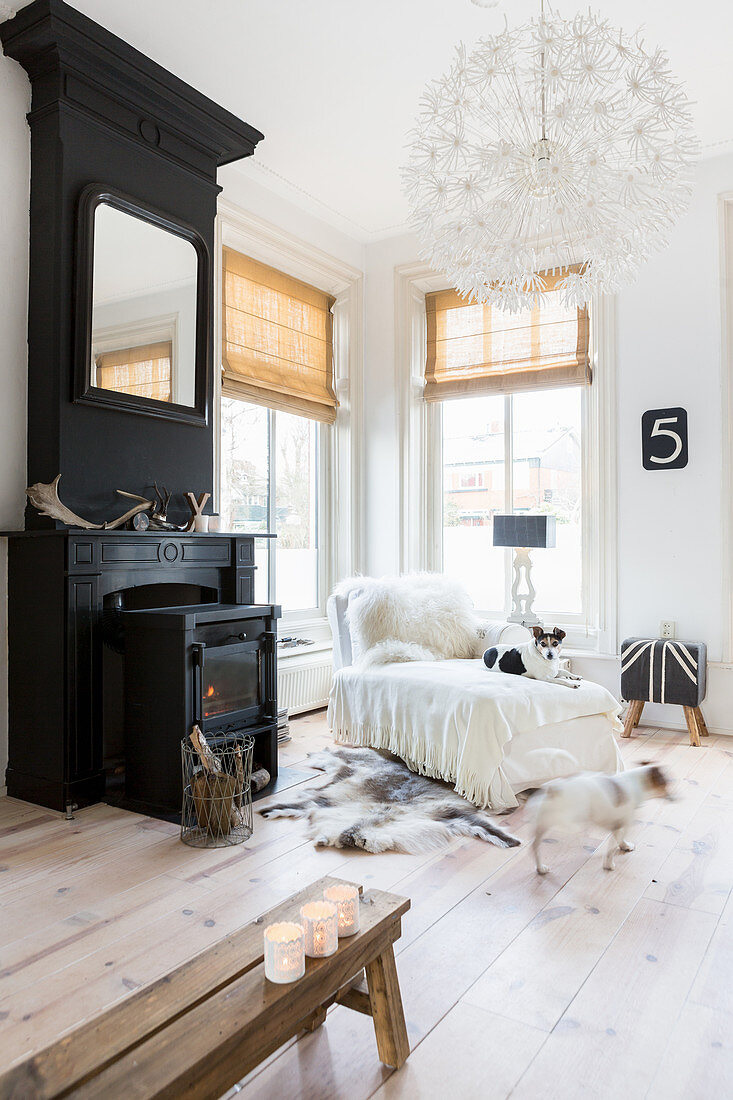 Dog in comfortable living room with black fireplace