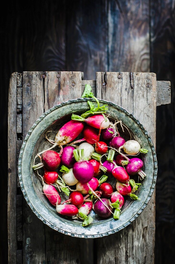 Colourful radishes in a metal bowl on a dark wooden background