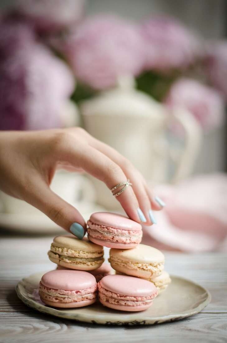 Rose and Vanilla Macarons