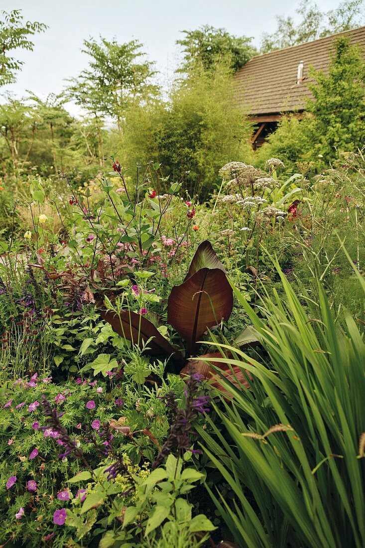 Banana leaves between flowers in a garden in Blessington, Ireland