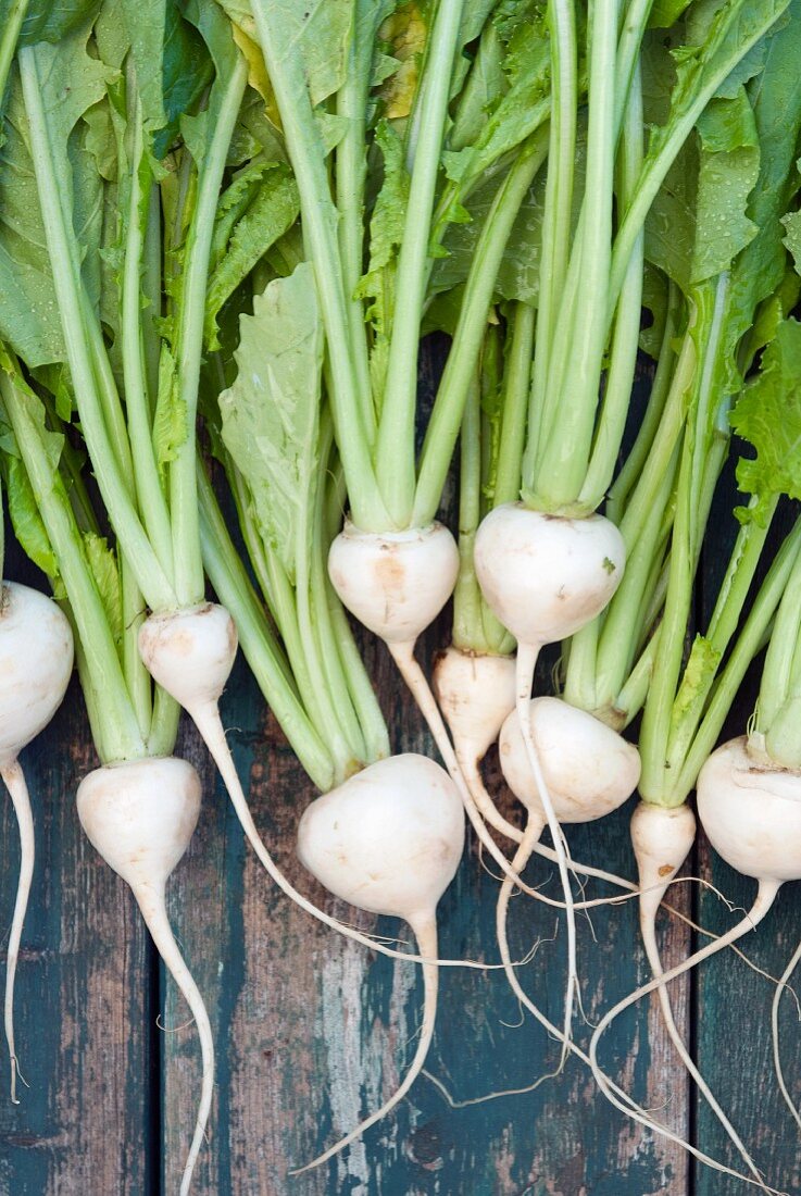 Fresh white turnips at a farmers market