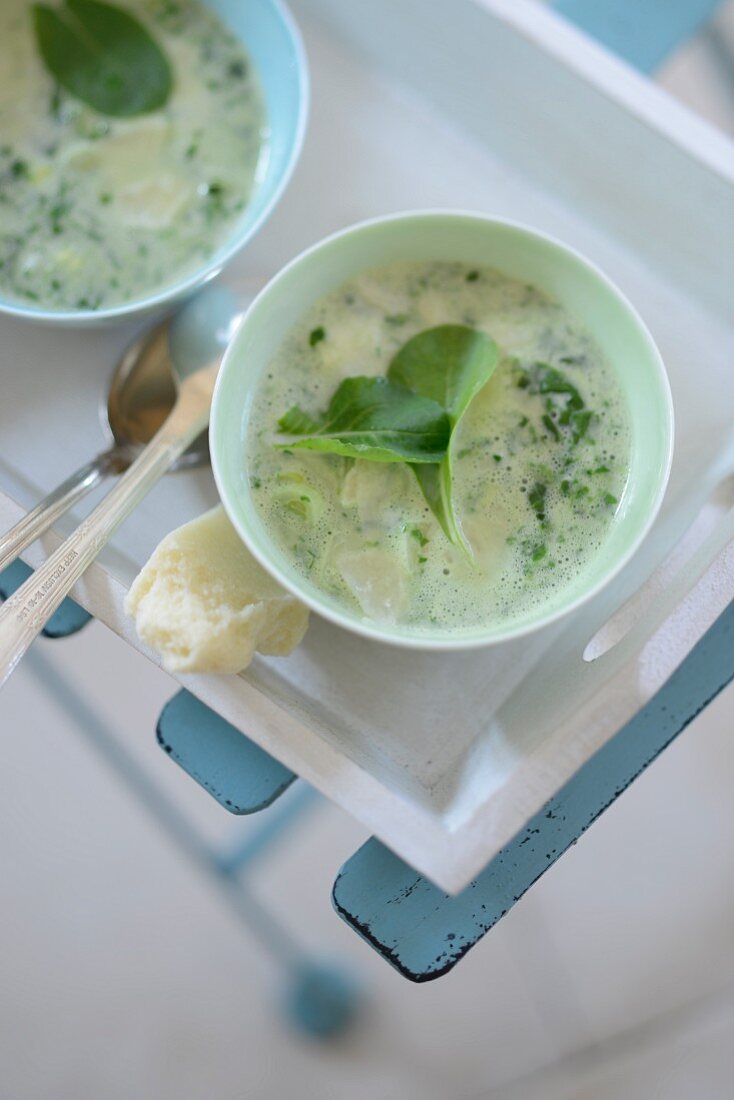 Parmesan soup with herbs