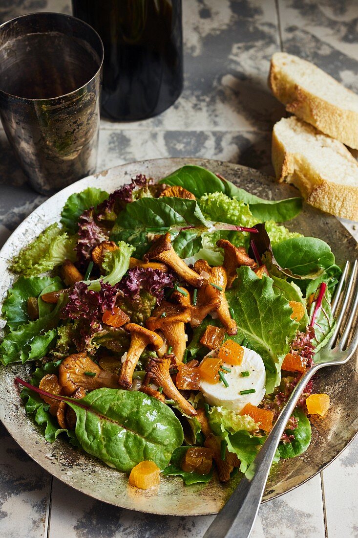 Green leaf salad with chanterelles, dried apricots and goat's cheese