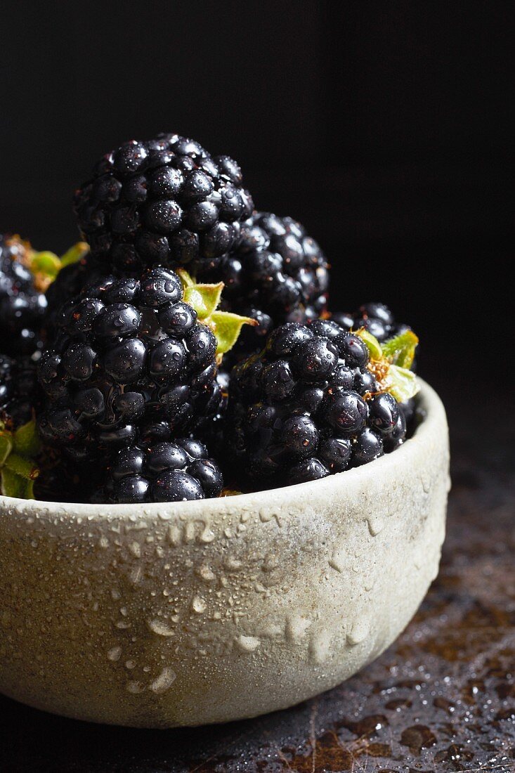 Frische Brombeeren in einem Keramikschälchen