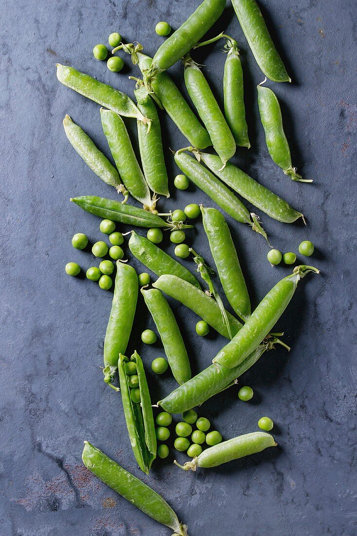 Young organic green pea pods and peas over blue gray texture metal background