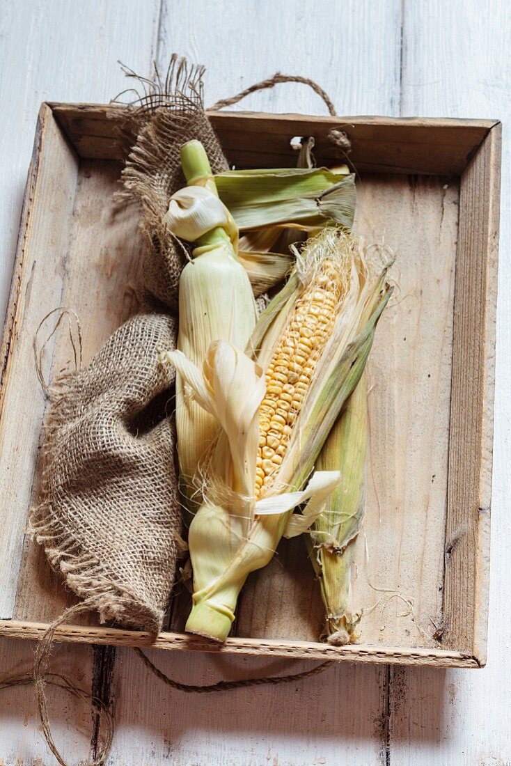 Corncobs on a wooden tray