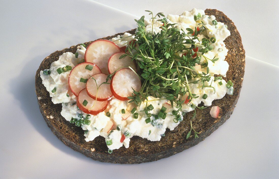 Whole Grain Bread with Cottage Cheese, Radishes, Cress and Chive