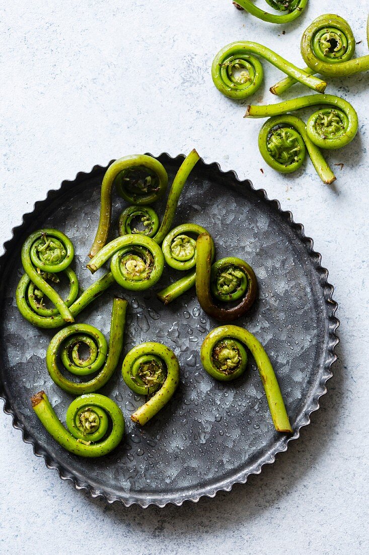 Fiddlehead ferns in a pan