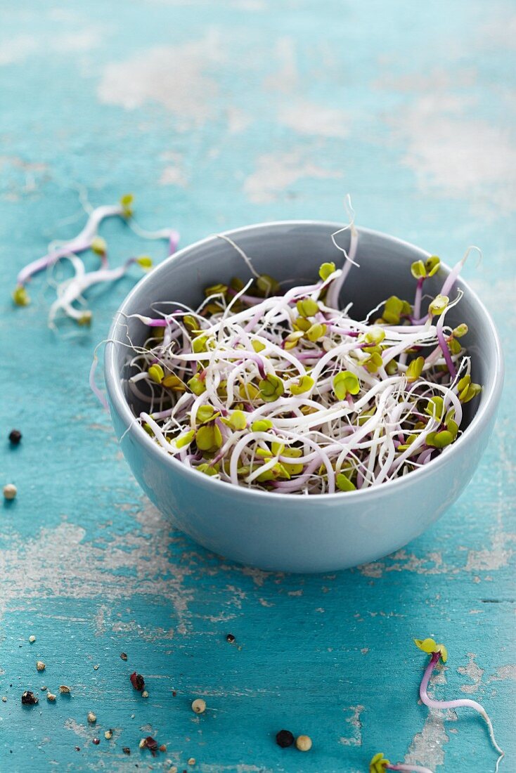 Broccoli sprouts in a bowl