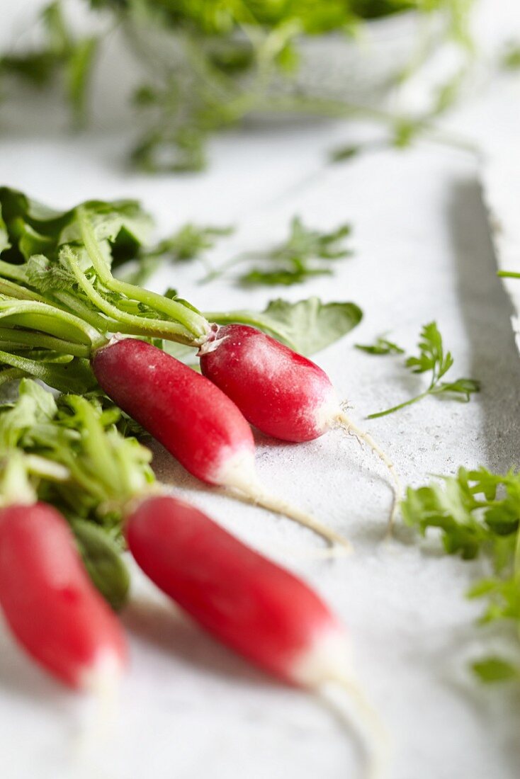 Fresh radishes