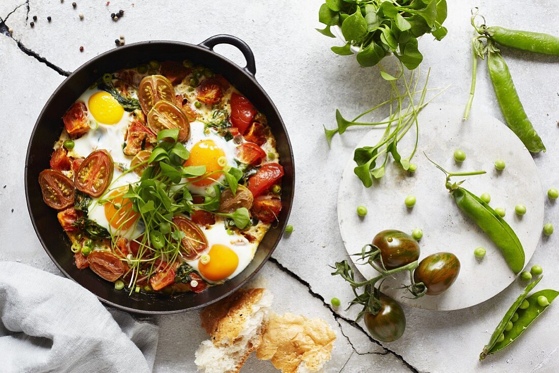 Shakshuka with tomatoes and portulak