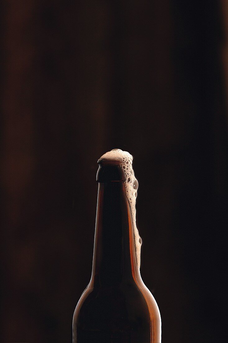 Bierflaschenhals mit Bierschaum