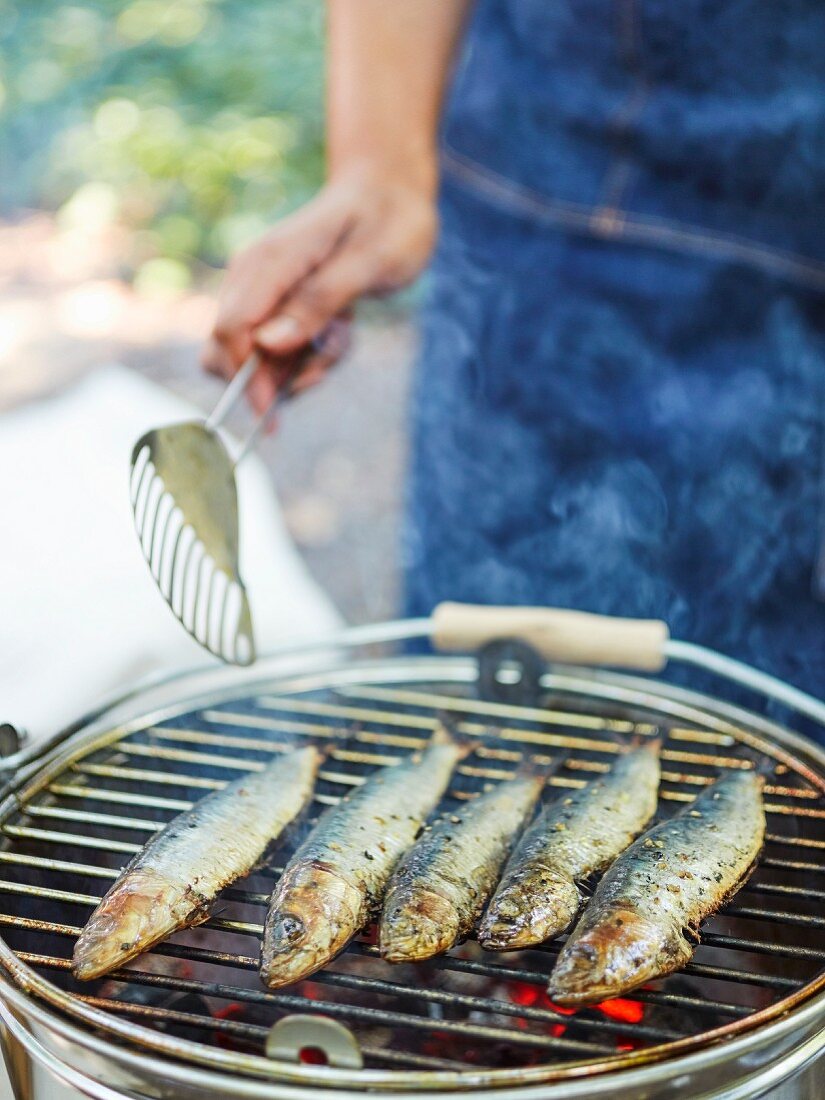 Sardines on a barbecue